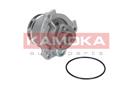 KAMOKA T0234