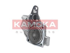 KAMOKA T0239