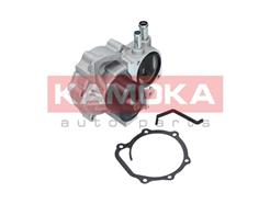 KAMOKA T0261