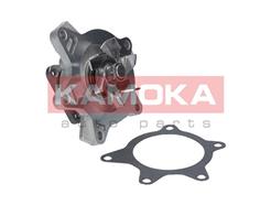KAMOKA T0268