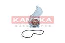 KAMOKA T0305
