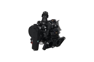 KAMOKA T0325