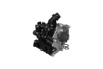 KAMOKA T0325