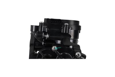 KAMOKA T0325