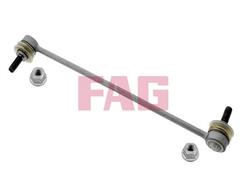 FAG 818 0256 10