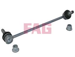 FAG 818 0667 10