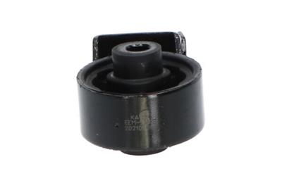 KAVO PARTS EEM-5589 EAN: 8715616198394.