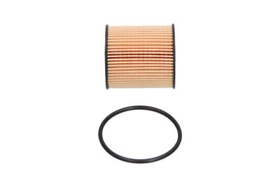 KAVO PARTS MO-447 EAN: 8715616083645.
