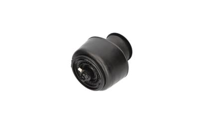 KAVO PARTS SAS-10001 EAN: 8715616365758.