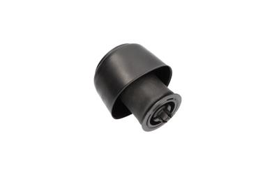 KAVO PARTS SAS-10001 EAN: 8715616365758.
