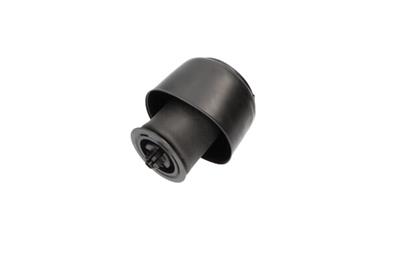 KAVO PARTS SAS-10001 EAN: 8715616365758.
