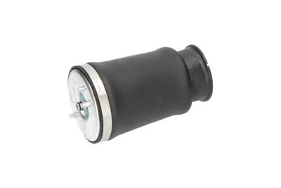 KAVO PARTS SAS-10017 EAN: 8715616365918.