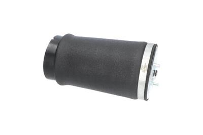 KAVO PARTS SAS-10035 EAN: 8715616366090.