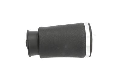 KAVO PARTS SAS-10036 EAN: 8715616366106.