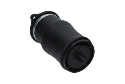 KAVO PARTS SAS-10053 EAN: 8715616366274.