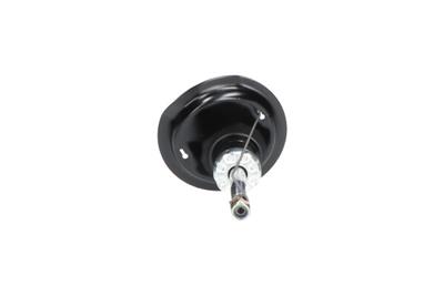 KAVO PARTS SSA-10050 EAN: 8715616329088.