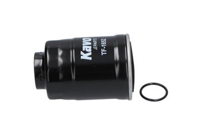 KAVO PARTS TF-1652 EAN: 4948266110247.