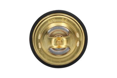 KAVO PARTS TH-9008 EAN: 8715616045353.
