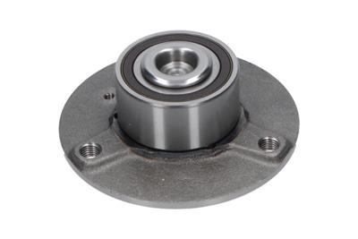 KAVO PARTS WBK-10036 EAN: 8715616352482.