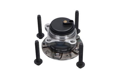 KAVO PARTS WBK-10079 EAN: 8715616369664.