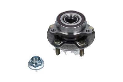 KAVO PARTS WBK-10117 EAN: 8715616458863.