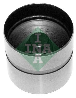 INA 420 0210 10 EAN: 4005108486158.