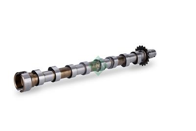 INA 428 0160 10 EAN: 4014870338619.