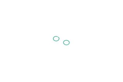 NRF 36207 EAN: 8718042412805.