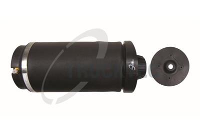 TRUCKTEC AUTOMOTIVE 02.30.384 EAN: 4038081058562.