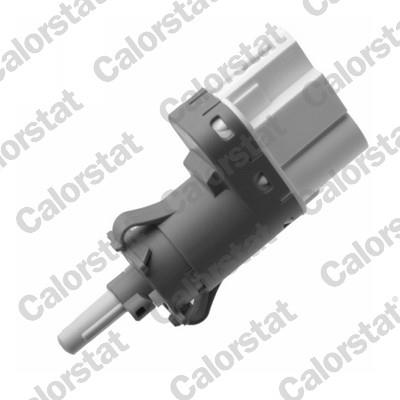 CALORSTAT by Vernet BS4648 EAN: 3531650035052.