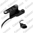 CALORSTAT by Vernet CS0315