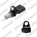 CALORSTAT by Vernet CS0410