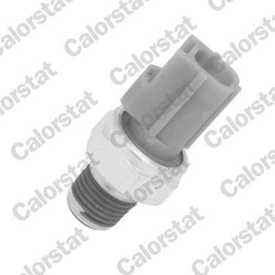 CALORSTAT by Vernet OS3583 EAN: 3531650021413.