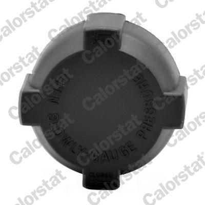 CALORSTAT by Vernet RC0001 EAN: 3531650022434.