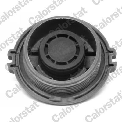 CALORSTAT by Vernet ET0004C1 EAN: 3531650043750.