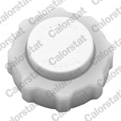 CALORSTAT by Vernet RC0013 EAN: 3531650022557.