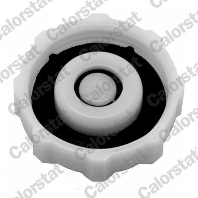 CALORSTAT by Vernet RC0013 EAN: 3531650022557.