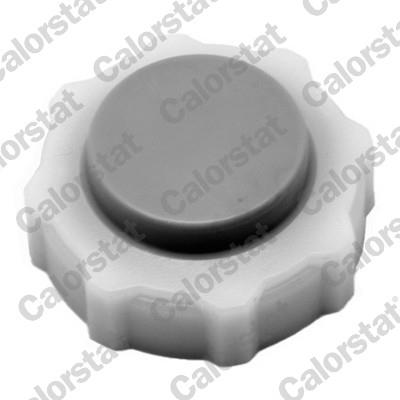 CALORSTAT by Vernet RC0018 EAN: 3531650022601.