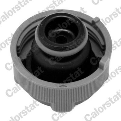 CALORSTAT by Vernet ET0040C1 EAN: 3531650044092.