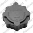 CALORSTAT by Vernet RC0025