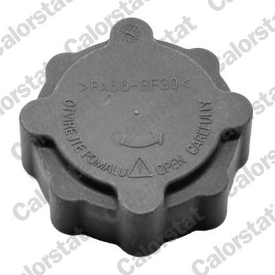 CALORSTAT by Vernet RC0025 EAN: 3531650022670.