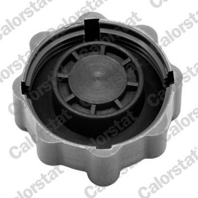 CALORSTAT by Vernet RC0025 EAN: 3531650022670.