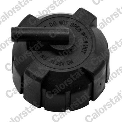 CALORSTAT by Vernet RC0026 EAN: 3531650022687.