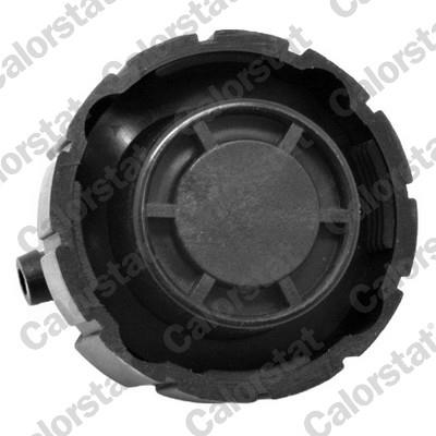CALORSTAT by Vernet RC0026 EAN: 3531650022687.