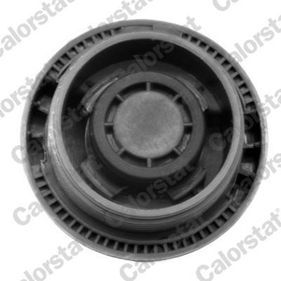 CALORSTAT by Vernet RC0028 EAN: 3531650022700.
