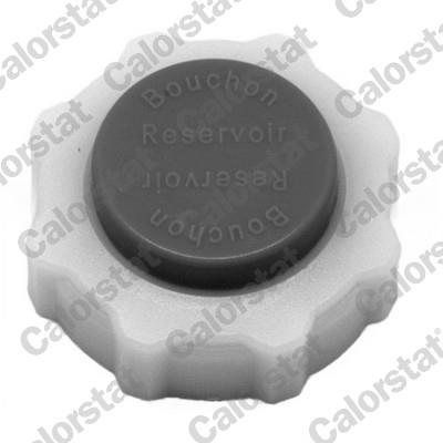 CALORSTAT by Vernet RC0030 EAN: 3531650022724.