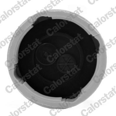 CALORSTAT by Vernet RC0039 EAN: 3531650022809.