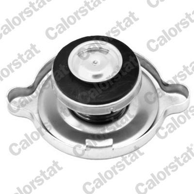 CALORSTAT by Vernet RC0055 EAN: 3531650022953.