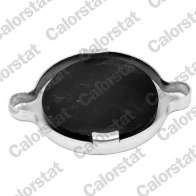 CALORSTAT by Vernet RC0057 EAN: 3531650022977.