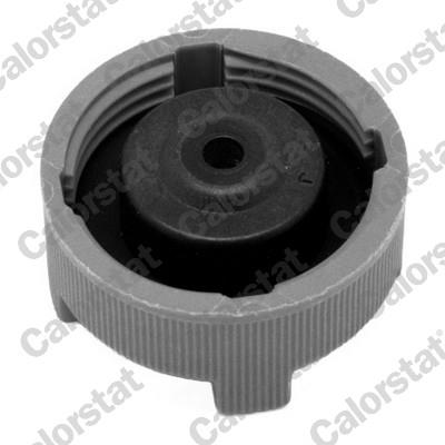 CALORSTAT by Vernet RC0086 EAN: 3531650029419.